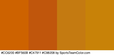 #CC6200 #BF560B #C47911 #C98208 Colors