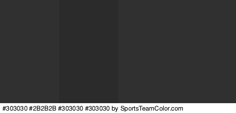 #303030 #2B2B2B #303030 #303030 Colors