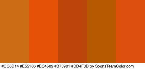 #CC6D14 #E55106 #BC4509 #B75901 #DD4F0D Colors