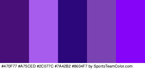 #470F77 #A75CED #2C077C #7A42B2 #8604F7 Colors