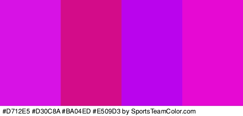 #D712E5 #D30C8A #BA04ED #E509D3 Colors