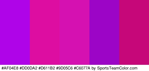 #AF04E8 #DD0DA2 #D611B2 #9D05C6 #C6077A Colors