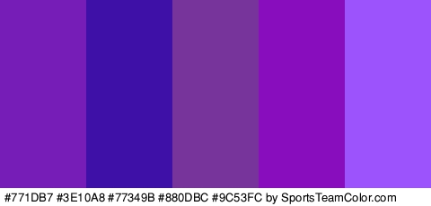 #771DB7 #3E10A8 #77349B #880DBC #9C53FC Colors