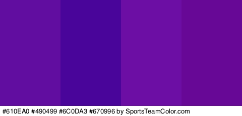 #610EA0 #490499 #6C0DA3 #670996 Colors