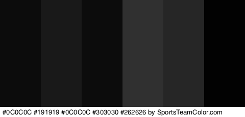 #0C0C0C #191919 #0C0C0C #303030 #262626 #020202 Colors