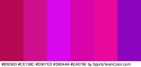 #B50953 #CE108C #D907ED #D804AA #EA079E #8D05BF Colors