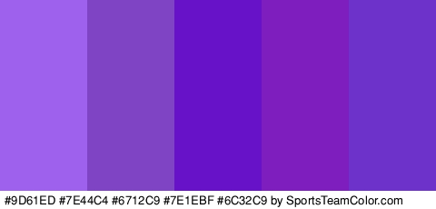 #9D61ED #7E44C4 #6712C9 #7E1EBF #6C32C9 Colors