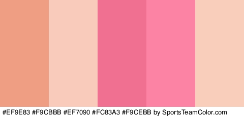 #EF9E83 #F9CBBB #EF7090 #FC83A3 #F9CEBB Colors