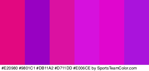 #E20980 #9801C1 #DB11A2 #D711DD #E006CE #A913DB Colors