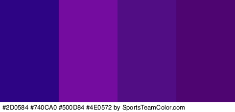 #2D0584 #740CA0 #500D84 #4E0572 Colors