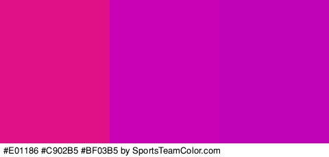 #E01186 #C902B5 #BF03B5 Colors