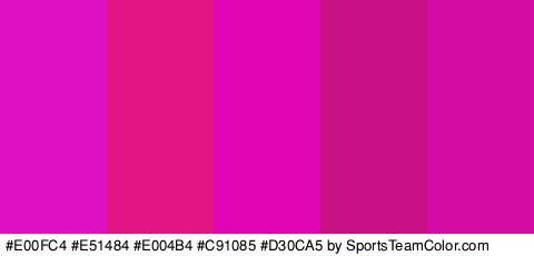 #E00FC4 #E51484 #E004B4 #C91085 #D30CA5 Colors