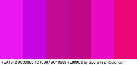 #EA18F2 #C306E0 #C10B97 #C10589 #E809C2 #EA0775 Colors