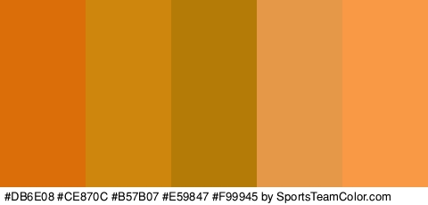 #DB6E08 #CE870C #B57B07 #E59847 #F99945 Colors