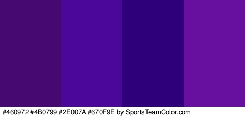 #460972 #4B0799 #2E007A #670F9E Colors