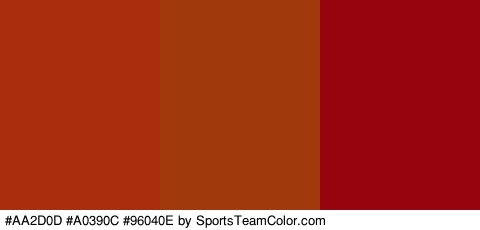 #AA2D0D #A0390C #96040E Colors