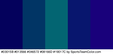 #03015B #013566 #046572 #08166D #19017C Colors