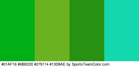 #01AF16 #6BB220 #279114 #13D8AE Colors