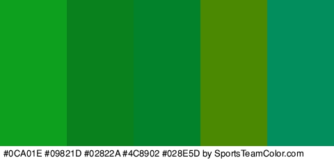 #0CA01E #09821D #02822A #4C8902 #028E5D Colors