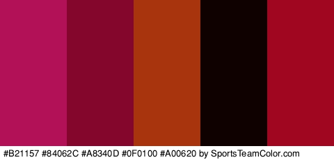 #B21157 #84062C #A8340D #0F0100 #A00620 Colors