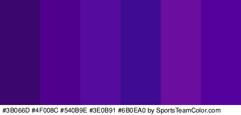 #3B066D #4F008C #540B9E #3E0B91 #6B0EA0 #55019E Colors