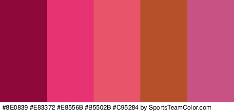 #8E0839 #E83372 #E8556B #B5502B #C95284 Colors