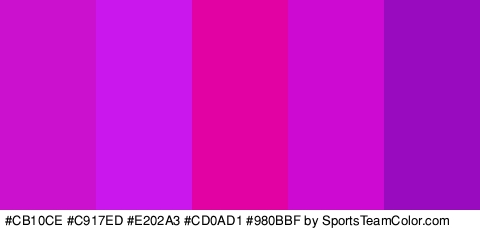 #CB10CE #C917ED #E202A3 #CD0AD1 #980BBF Colors