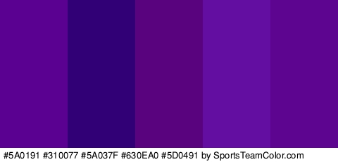 #5A0191 #310077 #5A037F #630EA0 #5D0491 Colors