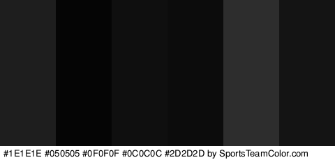 #1E1E1E #050505 #0F0F0F #0C0C0C #2D2D2D #141414 Colors