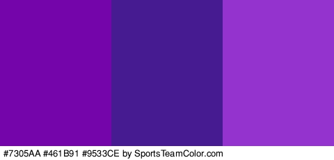 #7305AA #461B91 #9533CE Colors