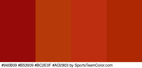 #960B09 #B53909 #BC2E0F #AD2803 Colors