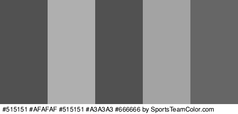 #515151 #AFAFAF #515151 #A3A3A3 #666666 Colors