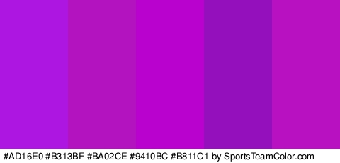 #AD16E0 #B313BF #BA02CE #9410BC #B811C1 Colors