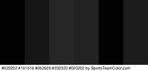 #020202 #161616 #262626 #232323 #020202 #1C1C1C Colors