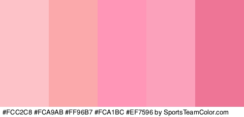 #FCC2C8 #FCA9AB #FF96B7 #FCA1BC #EF7596 Colors