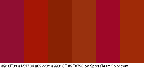 #910E33 #A51704 #892202 #99310F #9E0728 #9E2A07 Colors