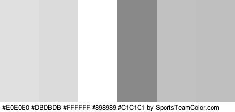 #E0E0E0 #DBDBDB #FFFFFF #898989 #C1C1C1 #BFBFBF Colors