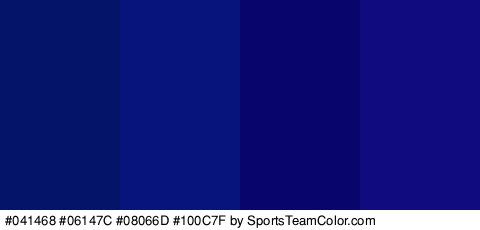 #041468 #06147C #08066D #100C7F Colors