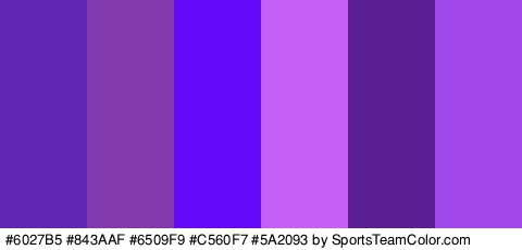 #6027B5 #843AAF #6509F9 #C560F7 #5A2093 #A148EA Colors