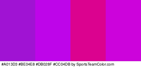 #A013D3 #BE04E8 #DB028F #CC04DB Colors