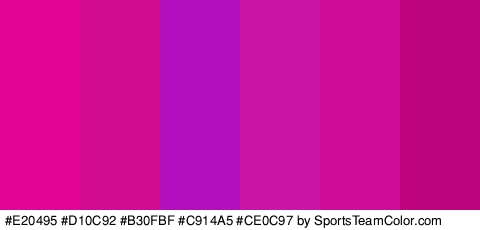 #E20495 #D10C92 #B30FBF #C914A5 #CE0C97 #BC037B Colors