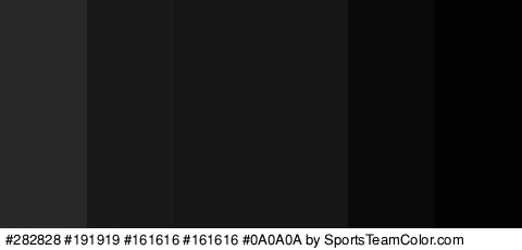 #282828 #191919 #161616 #161616 #0A0A0A #020202 Colors