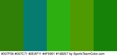 #307F06 #067C71 #2EAF11 #4F9901 #168207 Colors