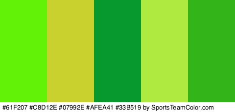 #61F207 #C8D12E #07992E #AFEA41 #33B519 Colors