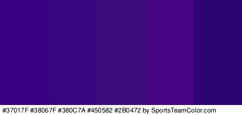 #37017F #38067F #380C7A #450582 #2B0472 Colors