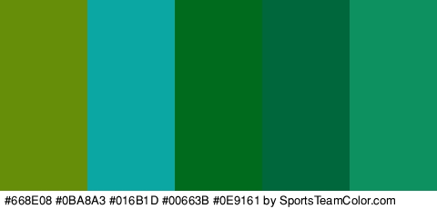 #668E08 #0BA8A3 #016B1D #00663B #0E9161 Colors