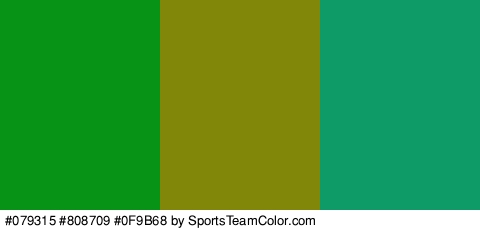 #079315 #808709 #0F9B68 Colors