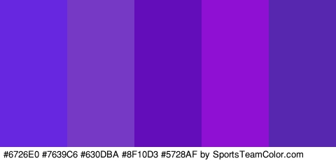 #6726E0 #7639C6 #630DBA #8F10D3 #5728AF Colors