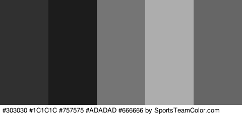 #303030 #1C1C1C #757575 #ADADAD #666666 Colors