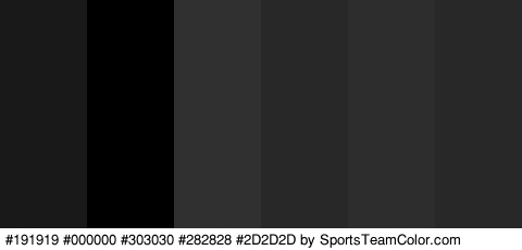 #191919 #000000 #303030 #282828 #2D2D2D #282828 Colors